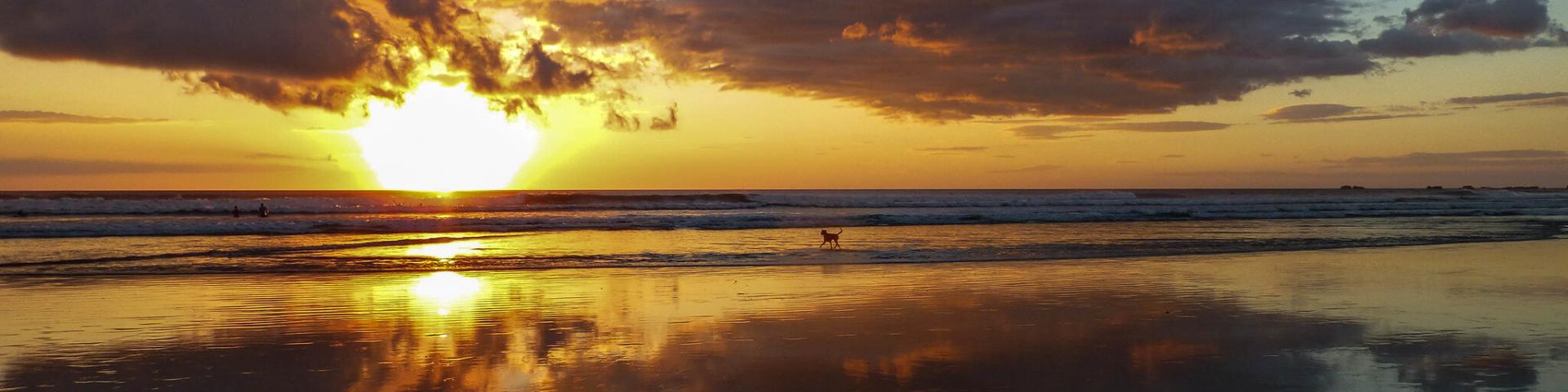 Źródło: Flickr - Frode Bjorshol